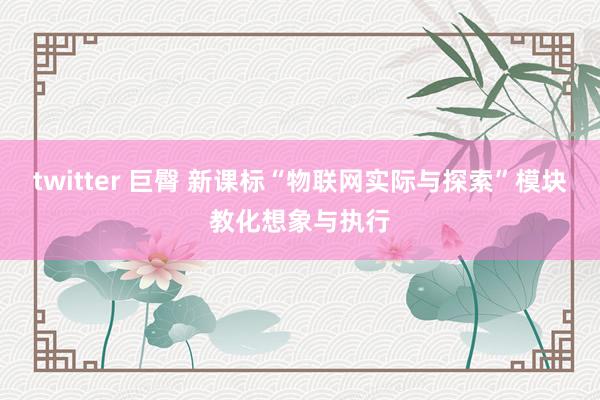 twitter 巨臀 新课标“物联网实际与探索”模块教化想象与执行