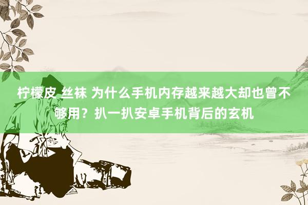 柠檬皮 丝袜 为什么手机内存越来越大却也曾不够用？扒一扒安卓手机背后的玄机