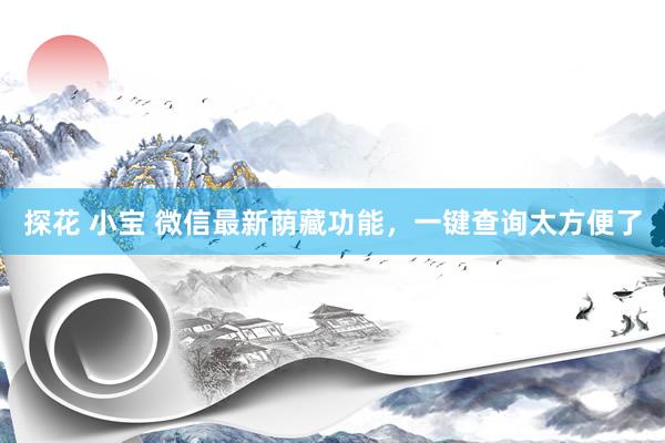 探花 小宝 微信最新荫藏功能，一键查询太方便了
