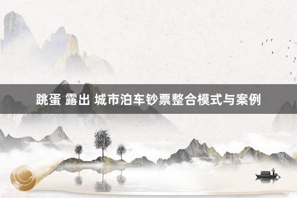 跳蛋 露出 城市泊车钞票整合模式与案例