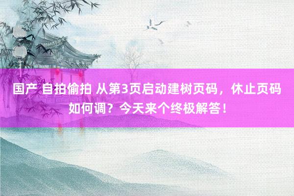 国产 自拍偷拍 从第3页启动建树页码，休止页码如何调？今天来个终极解答！