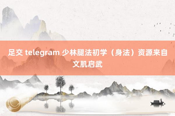 足交 telegram 少林腿法初学（身法）资源来自文肌启武
