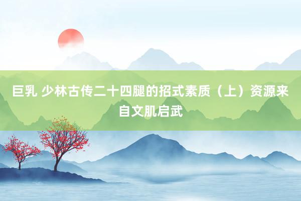 巨乳 少林古传二十四腿的招式素质（上）资源来自文肌启武