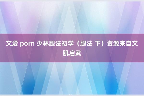 文爱 porn 少林腿法初学（腿法 下）资源来自文肌启武