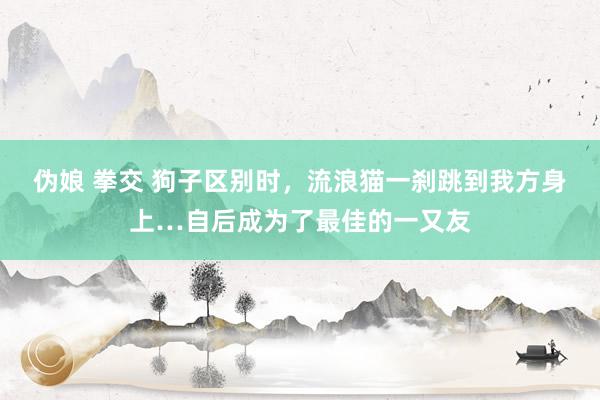 伪娘 拳交 狗子区别时，流浪猫一刹跳到我方身上…自后成为了最佳的一又友