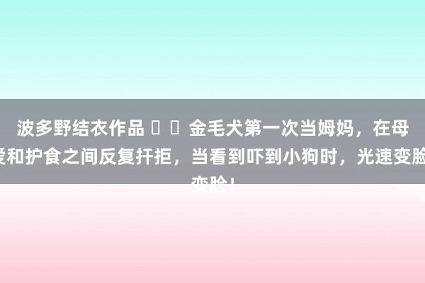 波多野结衣作品 ▶️金毛犬第一次当姆妈，在母爱和护食之间反复扞拒，当看到吓到小狗时，光速变脸！