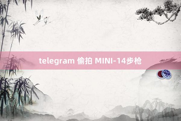 telegram 偷拍 MINI-14步枪